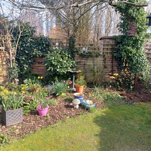 Garden- click for photo gallery